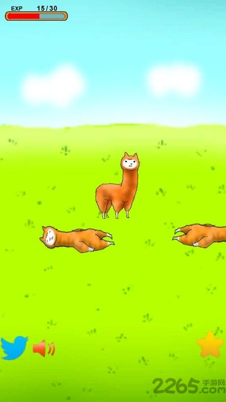 羊驼进化中文版(alpaca)下载,羊驼进化,养成游戏,羊驼游戏